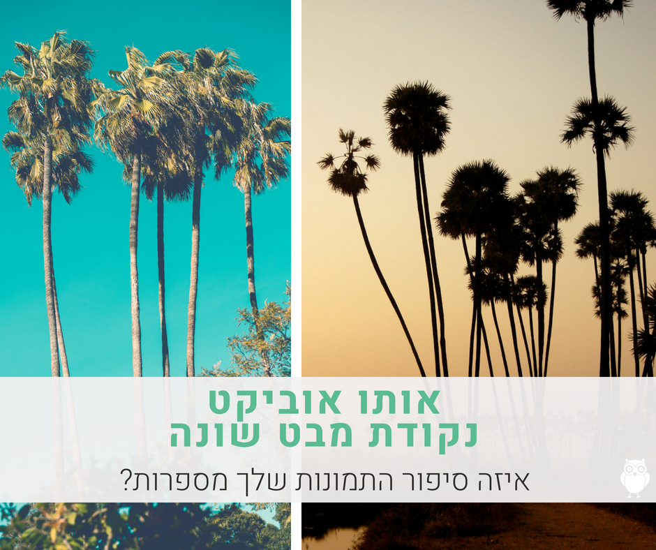 צילום מקצועי לאטסי